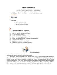 Strategijos pasirinkimo galimybės planas